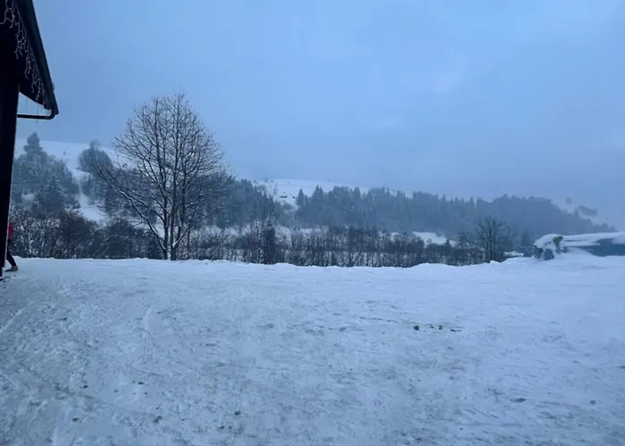 Карпатська Криївка