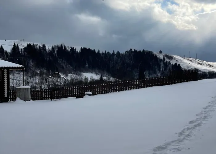Карпатська Криївка