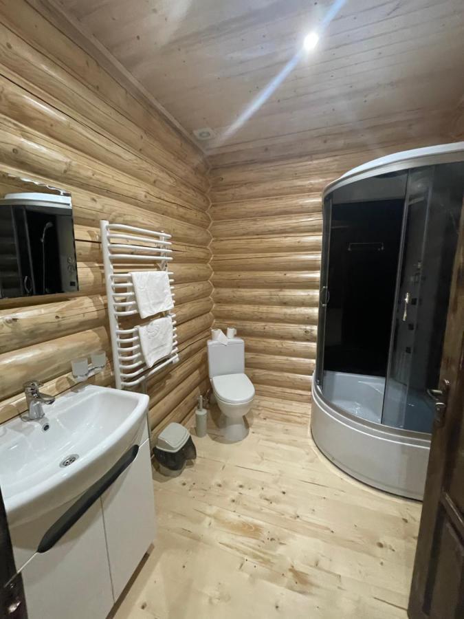 Apartment карпатська криївка